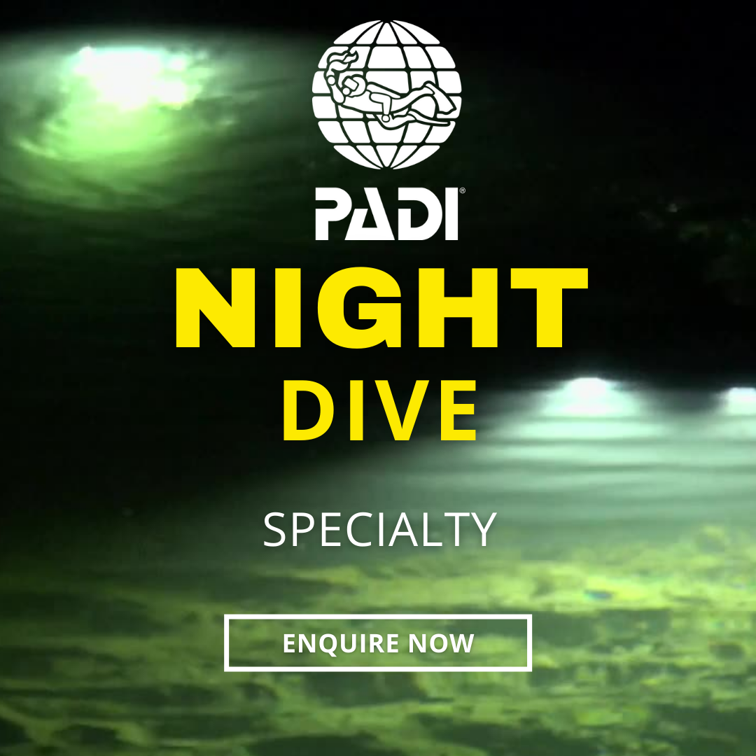 PADI Night-Dive Specialty 🔦